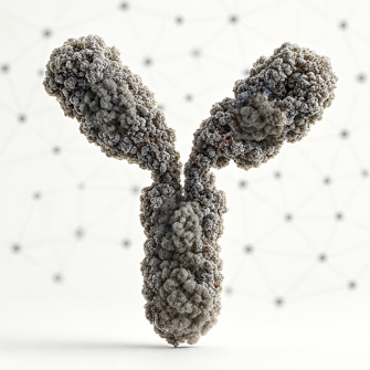 an antibody illustrative image