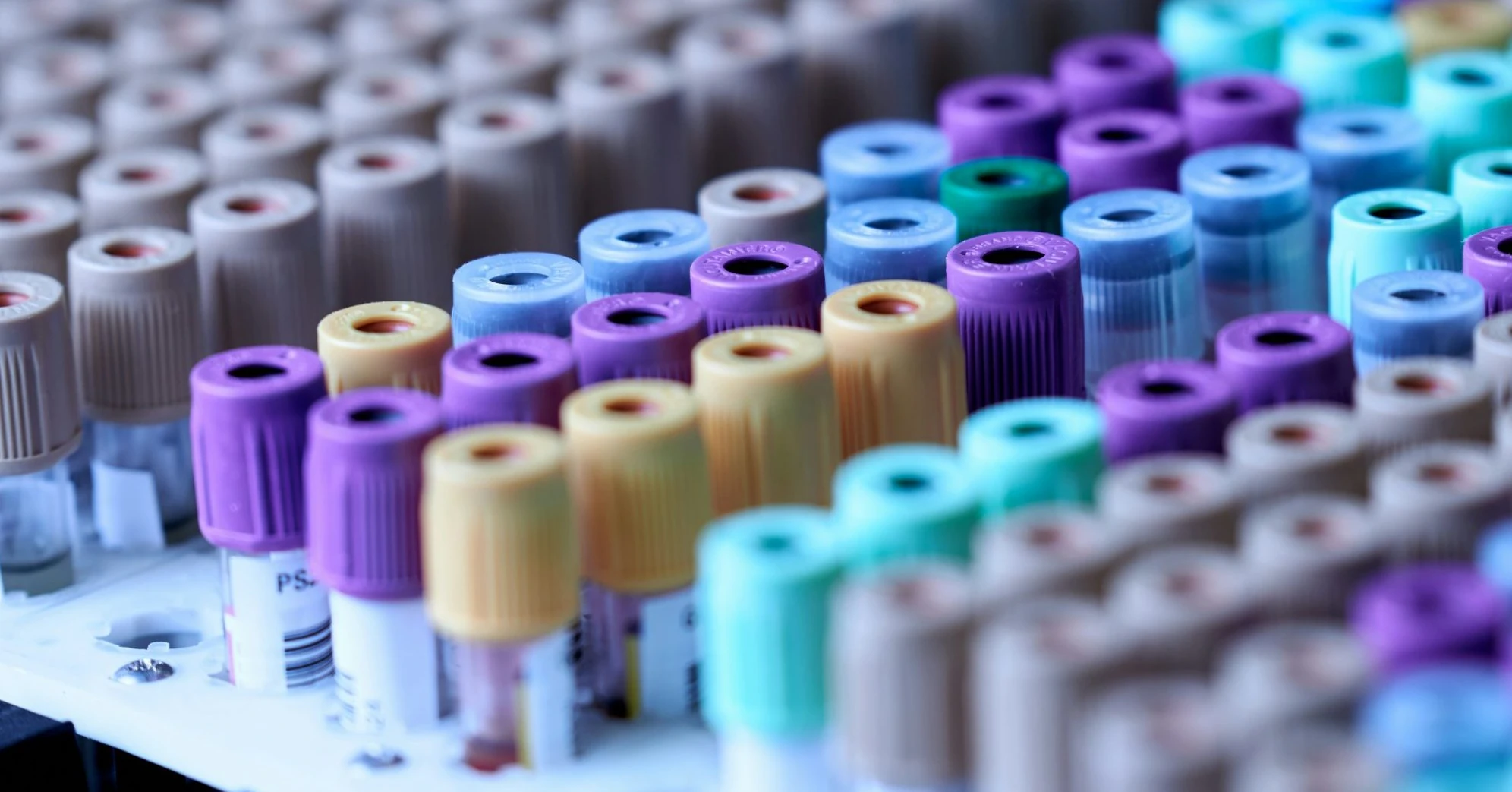 An array of biological samples with barcodes